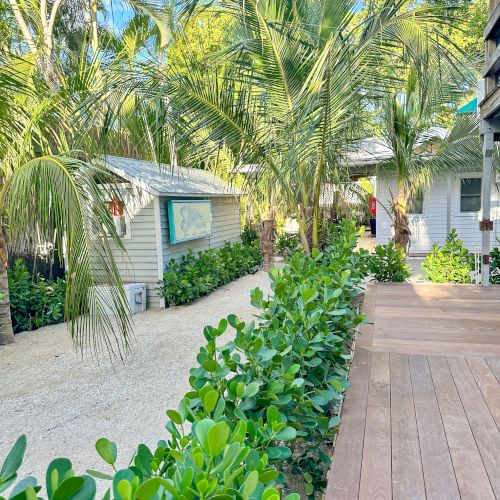 The image shows a tropical setting with palm trees, a wooden walkway, and small white buildings surrounded by lush greenery and bright sky.