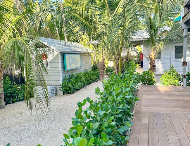 The image shows a tropical setting with palm trees, a wooden walkway, and small white buildings surrounded by lush greenery and bright sky.