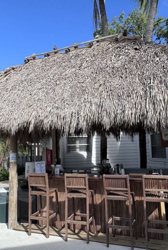 An outdoor tiki bar with a thatched roof, wooden stools, and lush surrounding greenery, set against a clear blue sky.