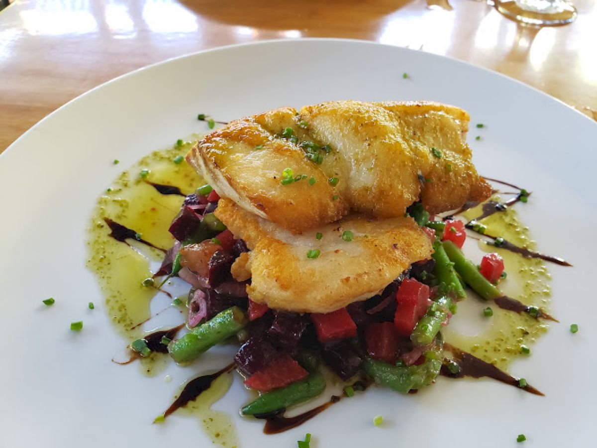 A plate of seared fish fillets atop mixed vegetables, garnished with herbs and sauce, presented on a white plate.