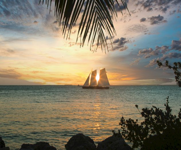 A sailboat silhouetted against a vibrant sunset on the ocean, framed by palm leaves and foliage in the foreground.