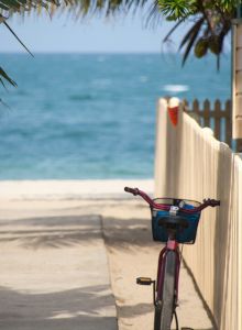 A bicycle is parked on a path leading to a beach, surrounded by palm trees and a white picket fence with the ocean visible ahead.