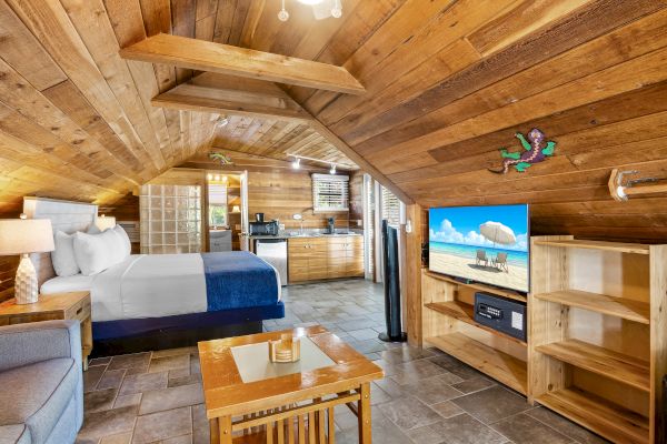 Cozy attic room with wood paneling, a bed, sofa, TV, bookshelf, and a small kitchenette, all under a sloped ceiling with warm lighting.