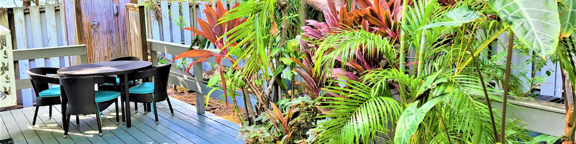 A tropical patio with a dining set under a blue canopy, surrounded by lush greenery and vibrant plants, creating a serene outdoor space.