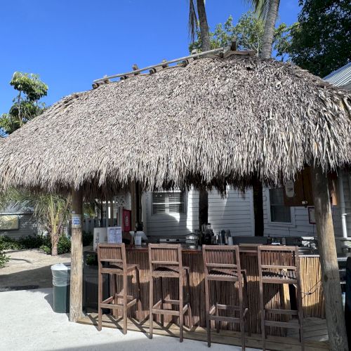 A tropical outdoor bar with a thatched roof and several wooden stools, surrounded by greenery and a clear blue sky.